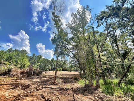 Forsyth, GA 31029 Monroe County
