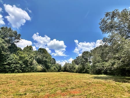Forsyth, GA 31029 Monroe County