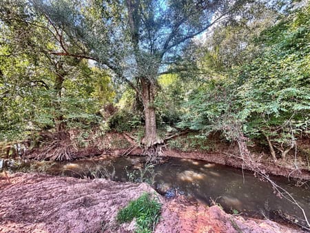 Forsyth, GA 31029 Monroe County