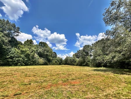 Forsyth, GA 31029 Monroe County