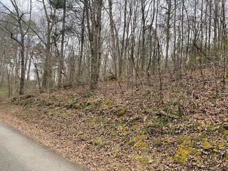 Chickamauga, GA 30707 Walker County
