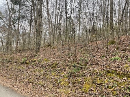 Chickamauga, GA 30707 Walker County