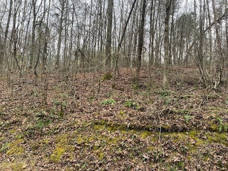 Chickamauga, GA 30707 Walker County