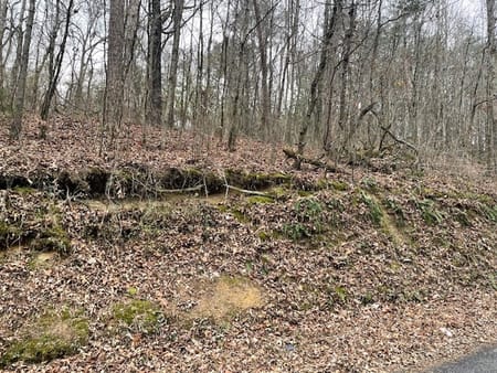 Chickamauga, GA 30707 Walker County