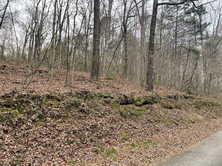 Chickamauga, GA 30707 Walker County
