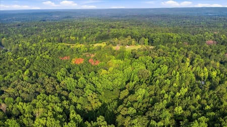 Palmetto, GA 30268 Fulton County
