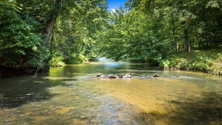 Ellijay, GA 30540 Gilmer County