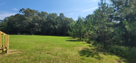 Sylvania, GA 30467 Screven County