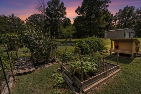 Chickamauga, GA 30707 Walker County
