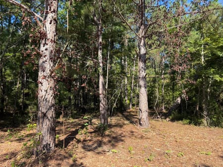Bartow, GA 30413 Washington County