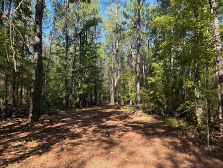Bartow, GA 30413 Washington County