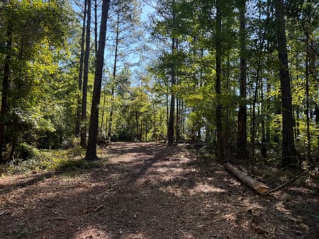 Bartow, GA 30413 Washington County