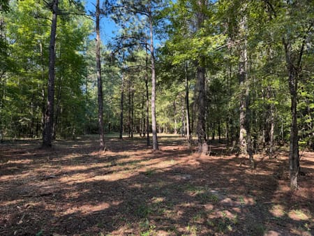 Bartow, GA 30413 Washington County