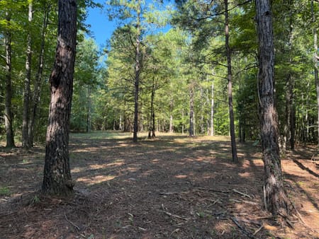 Bartow, GA 30413 Washington County