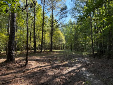 Bartow, GA 30413 Washington County