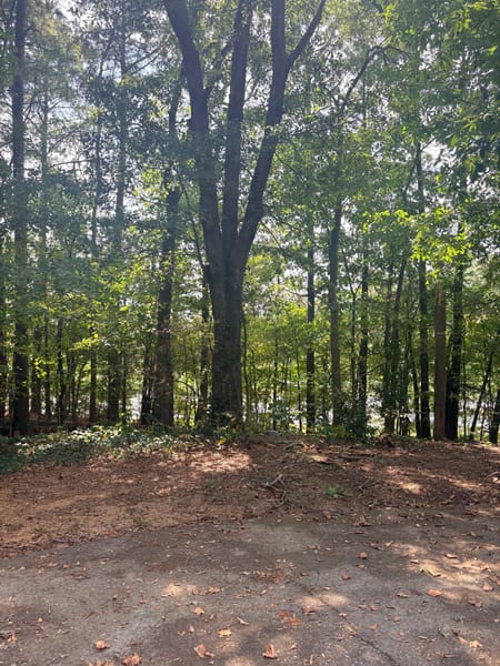 Adairsville, GA 30103 Floyd County