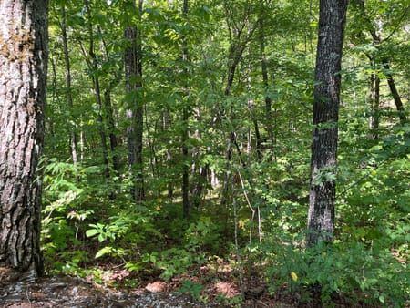 Clayton, GA 30525 Rabun County