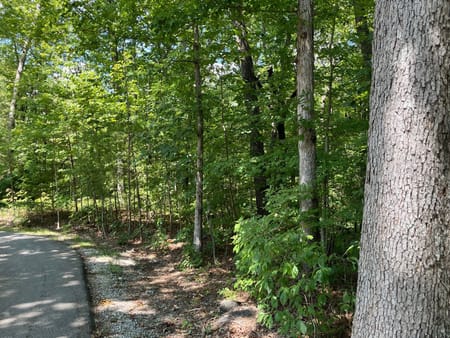 Clayton, GA 30525 Rabun County
