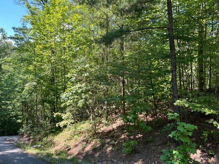 Clayton, GA 30525 Rabun County