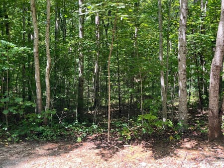 Clayton, GA 30525 Rabun County