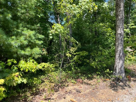 Clayton, GA 30525 Rabun County