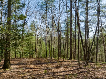 Ellijay, GA 30540 Gilmer County