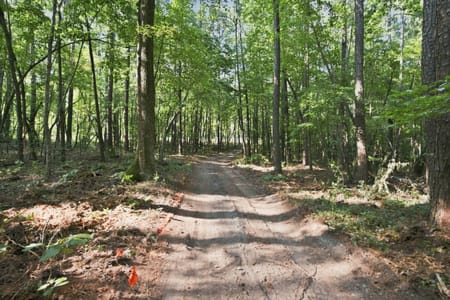 Newnan, GA 30263 Coweta County