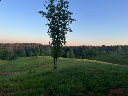 Dahlonega, GA 30533 Lumpkin County
