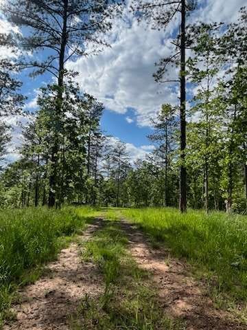 Dahlonega, GA 30533 Lumpkin County