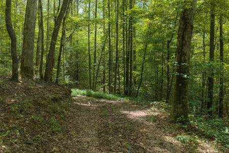 Ellijay, GA 30540 Gilmer County