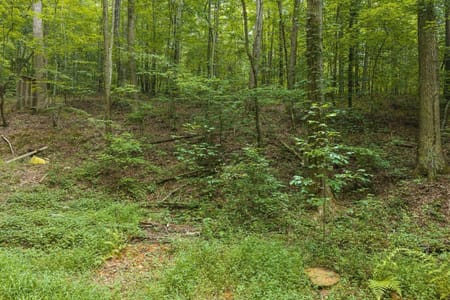 Ellijay, GA 30540 Gilmer County