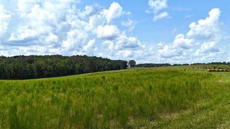 Tallapoosa, GA 30176 Haralson County