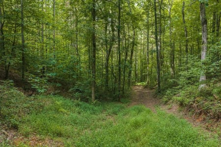 Ellijay, GA 30540 Gilmer County
