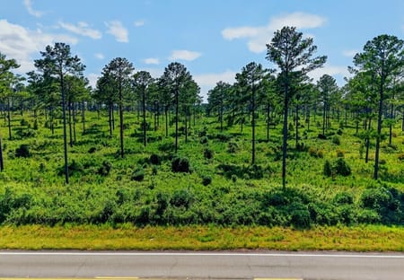 Buena Vista, GA 31803 Marion County