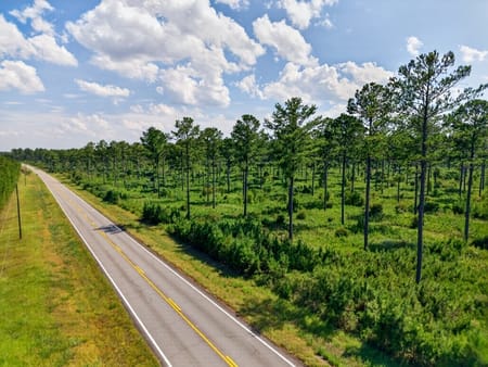 Buena Vista, GA 31803 Marion County