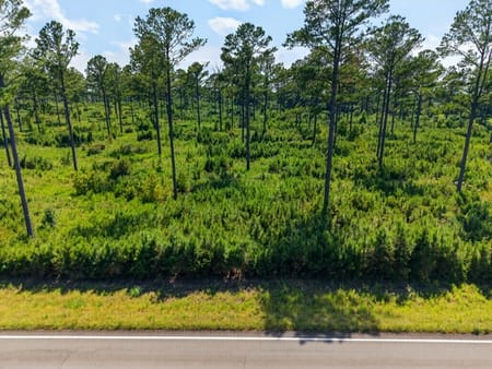 Buena Vista, GA 31803 Marion County