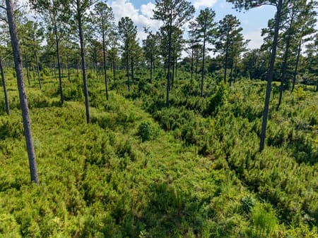 Buena Vista, GA 31803 Marion County