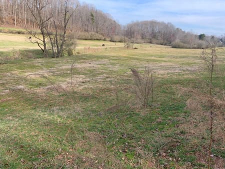 Dahlonega, GA 30533 Lumpkin County