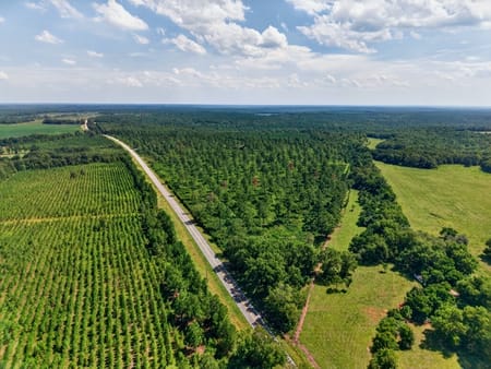 Buena Vista, GA 31803 Marion County