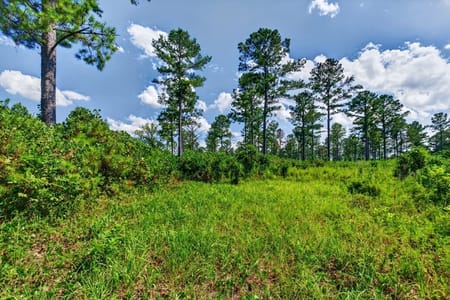 Buena Vista, GA 31803 Marion County