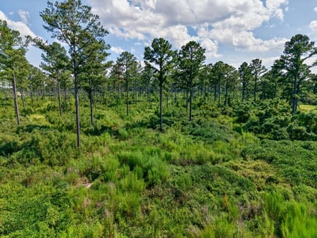 Buena Vista, GA 31803 Marion County