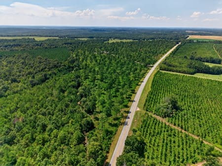 Buena Vista, GA 31803 Marion County