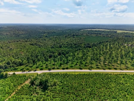 Buena Vista, GA 31803 Marion County