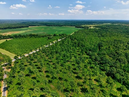 Buena Vista, GA 31803 Marion County