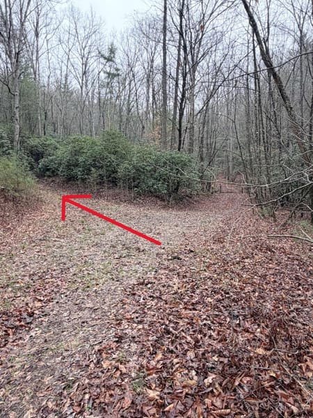 Ellijay, GA 30536 Gilmer County