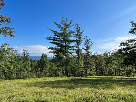 Dahlonega, GA 30533 Lumpkin County