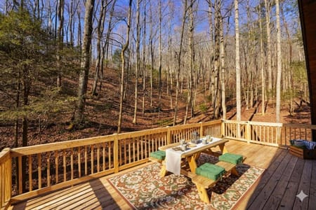 Blue Ridge, GA 30513 Fannin County