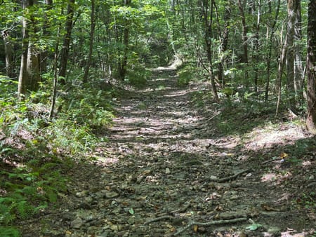 Ellijay, GA 30540 Gilmer County