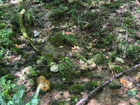 Ellijay, GA 30540 Gilmer County