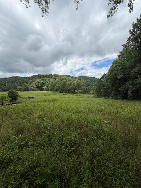 Suches, GA 30572 Union County